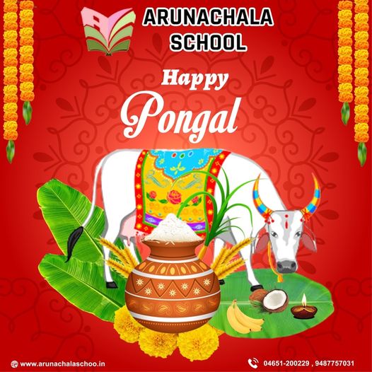 Pongal Wishes 2023